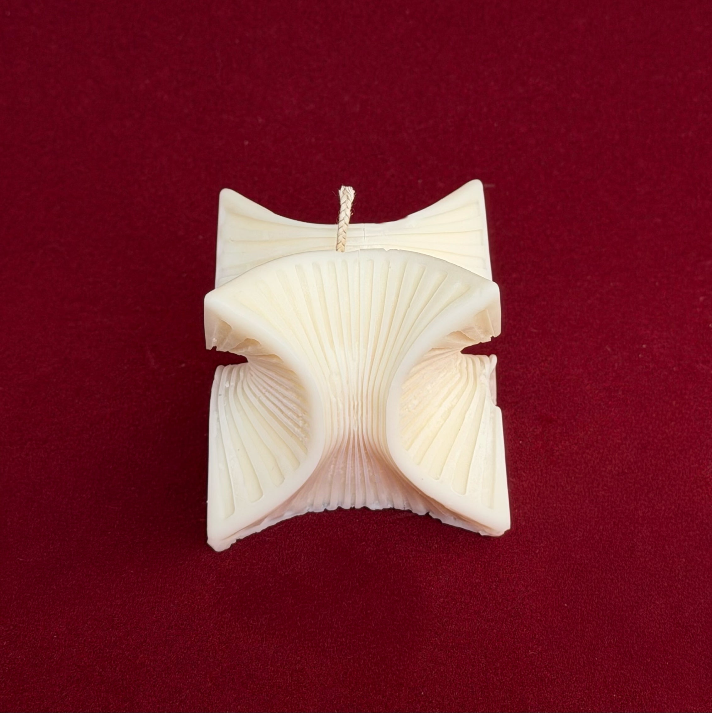 Λευκό Αστέρι - Baked Crust “Mελομακάρονο”